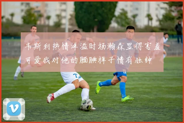 韦斯利热情洋溢时杨瀚森显得害羞可爱我对他的腼腆样子情有独钟