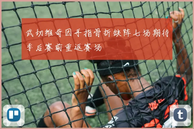武切维奇因手指骨折缺阵七场期待季后赛前重返赛场